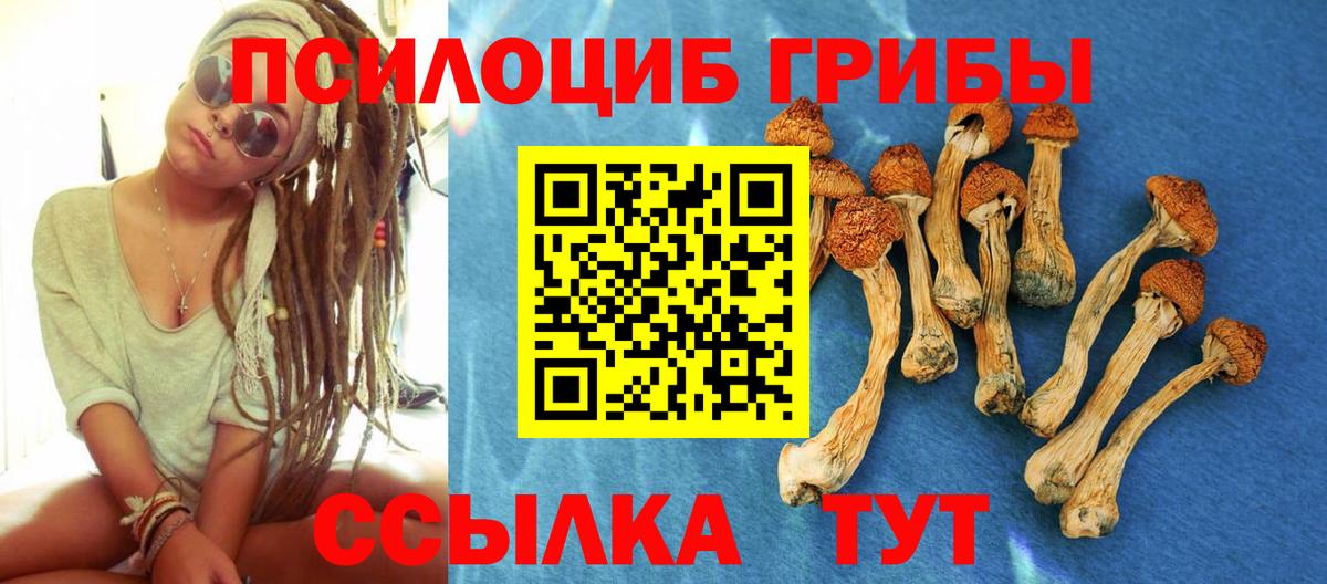 Псилоцибиновые грибы GOLDEN TEACHER Можга