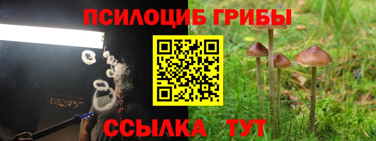 Галлюциногенные грибы Cubensis  Вход с VPN  Можга 