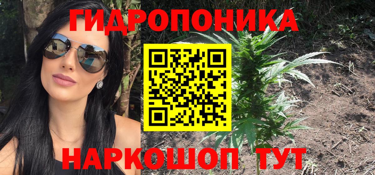 Шишки марихуана OG Kush Можга